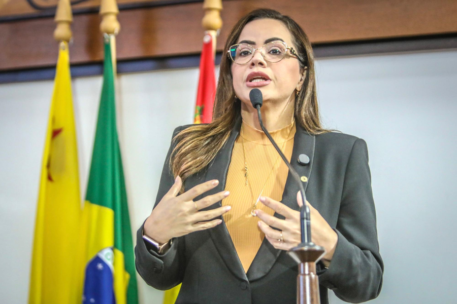 Michelle Melo propõe lei para auxílio-aluguel imediato a mulheres vítimas de violência doméstica no Acre